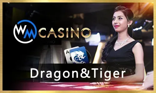 Phplus11 Casino games via 1win Connexion